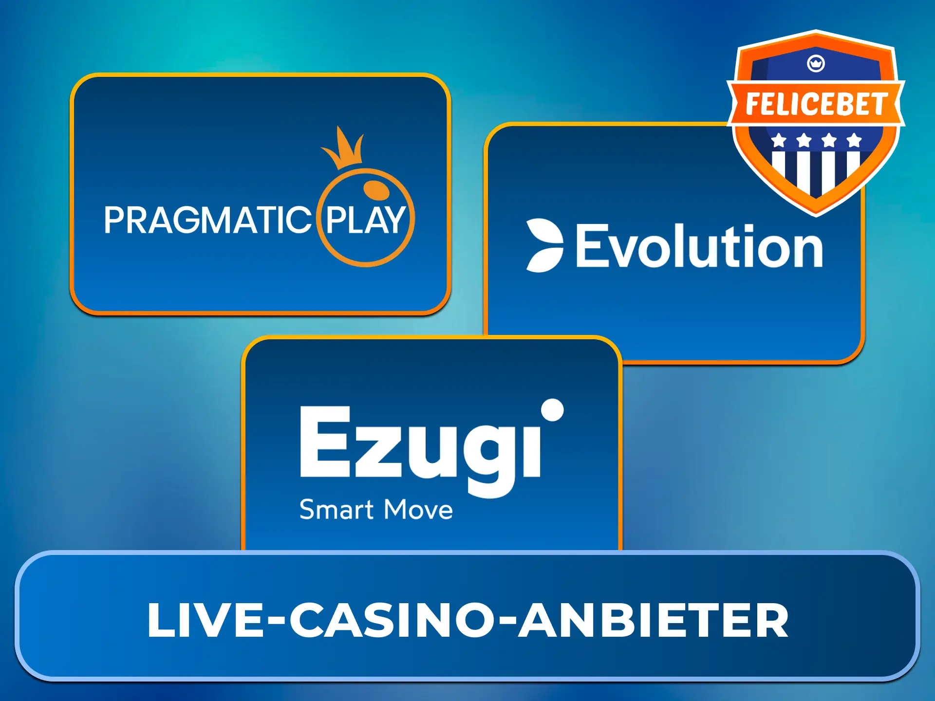 Entdecke erstklassige Spieltische der besten Software-Entwickler im Felicebet Live Casino.